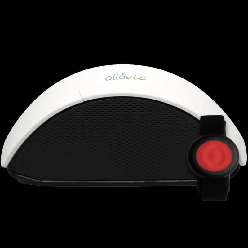 Centrale Allovie Classic et bracelet bouton d’alerte